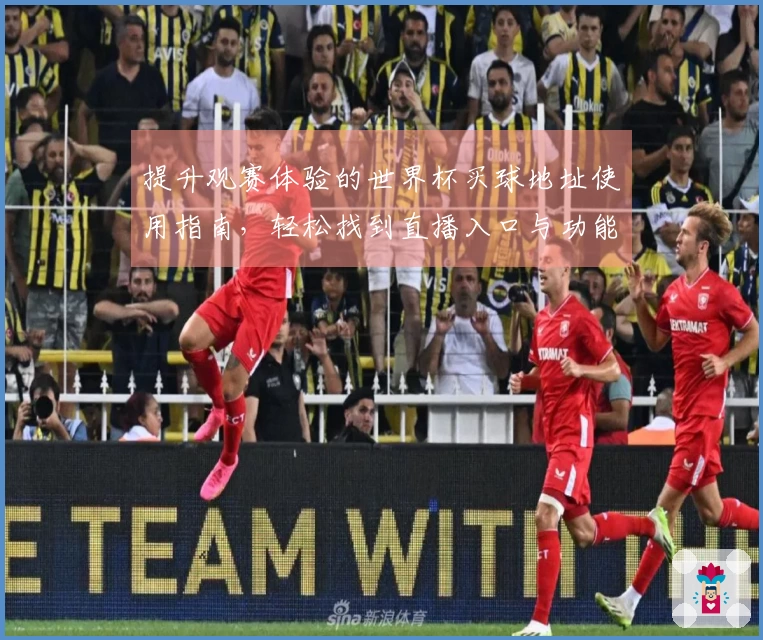 提升观赛体验的世界杯买球地址使用指南，轻松找到直播入口与功能介绍