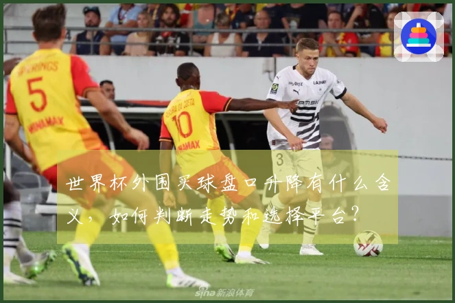 世界杯外围买球盘口升降有什么含义，如何判断走势和选择平台？
