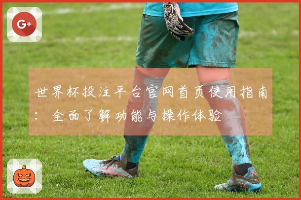 世界杯投注平台官网首页使用指南：全面了解功能与操作体验