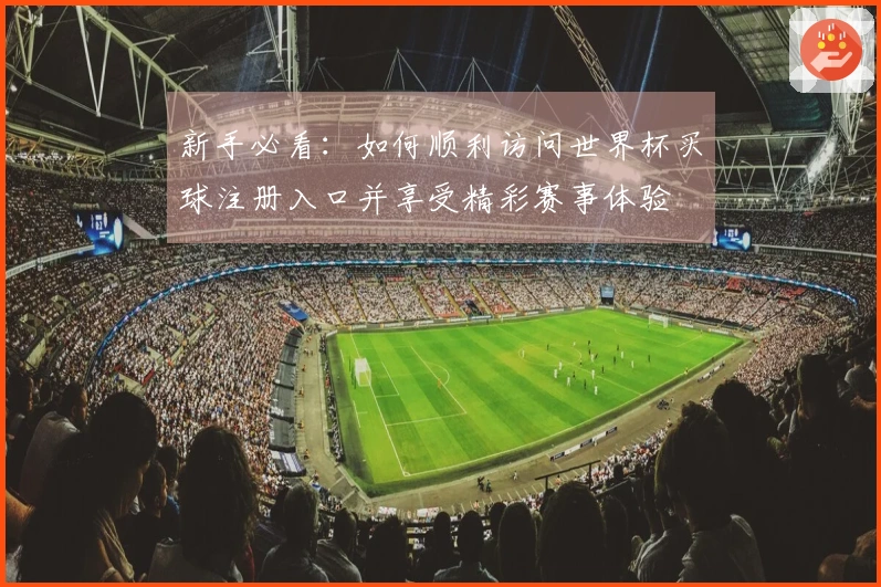 新手必看：如何顺利访问世界杯买球注册入口并享受精彩赛事体验