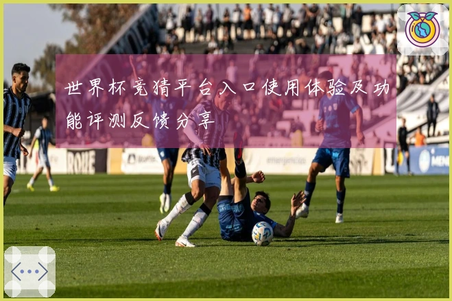世界杯竞猜平台入口使用体验及功能评测反馈分享