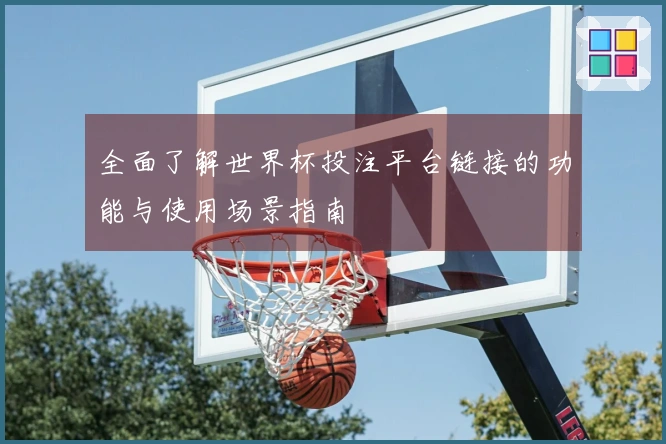 全面了解世界杯投注平台链接的功能与使用场景指南