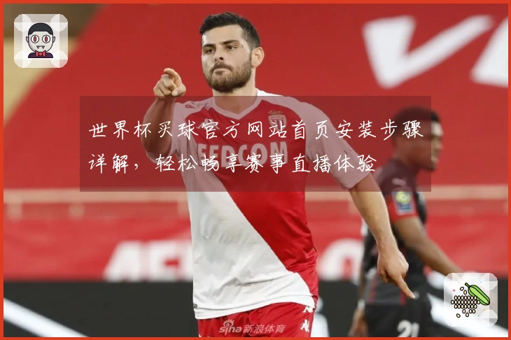 世界杯买球官方网站首页安装步骤详解，轻松畅享赛事直播体验