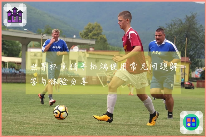世界杯竞猜手机端使用常见问题解答与体验分享