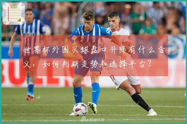 世界杯外围买球盘口升降有什么含义，如何判断走势和选择平台？