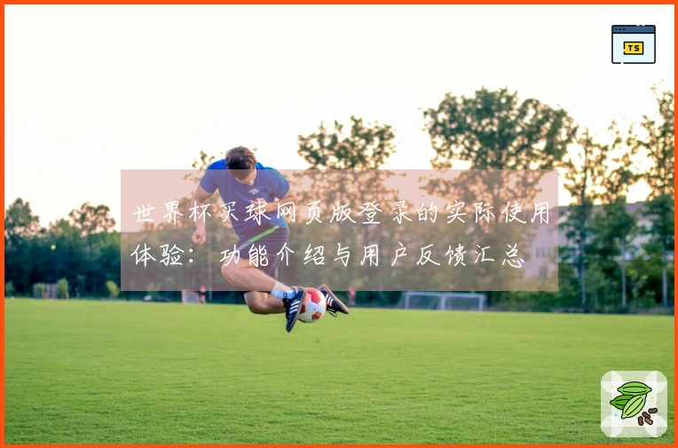 世界杯买球网页版登录的实际使用体验：功能介绍与用户反馈汇总