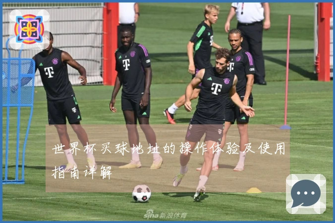 世界杯买球地址的操作体验及使用指南详解