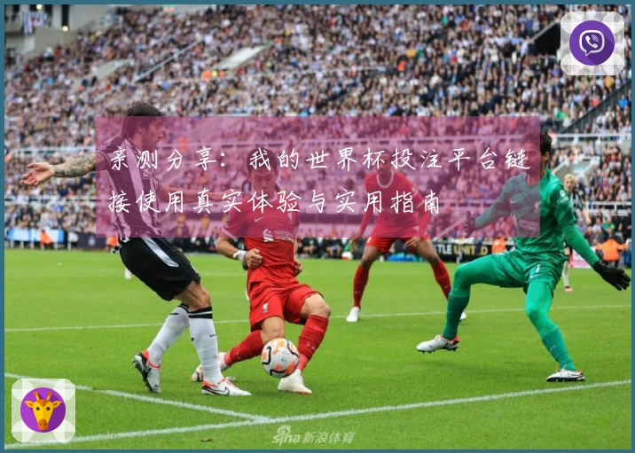 亲测分享：我的世界杯投注平台链接使用真实体验与实用指南