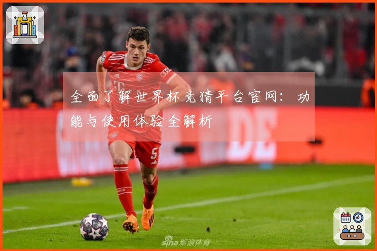 全面了解世界杯竞猜平台官网：功能与使用体验全解析